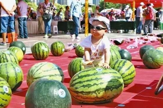 吃瓜大赛,吃瓜大赛精彩瞬间大盘点